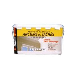 Pintura para techos antiguos
