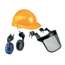 Conjunto forestal