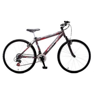 Bicicleta WEEKEND