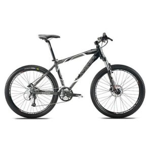 Bicicleta Satellite
