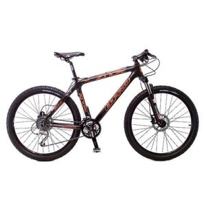 Bicicleta ZS 10FC