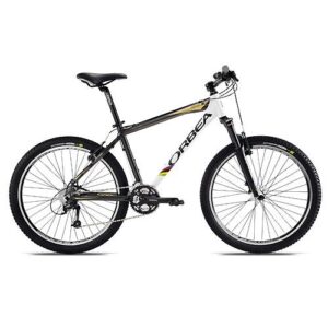 Bicicleta Replay