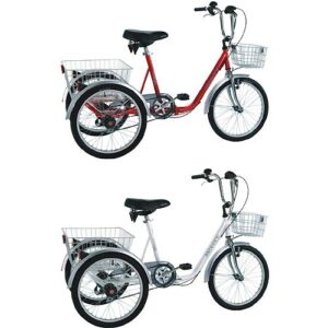 Bicicleta triciclo 607